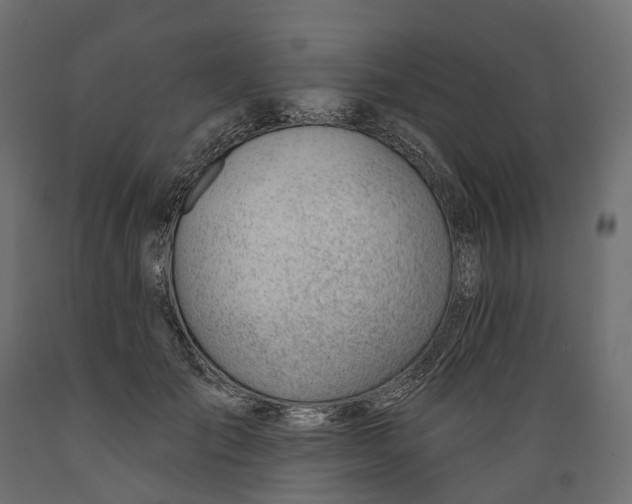 X0000088900701200707061455