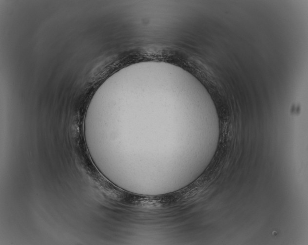 X0000088900702200707061455