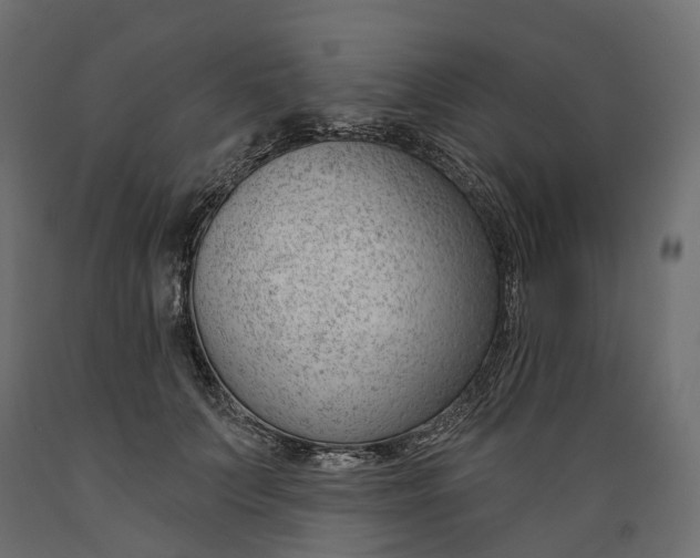 X0000088900703200707061455