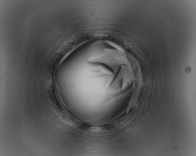 X0000088900704200707061455