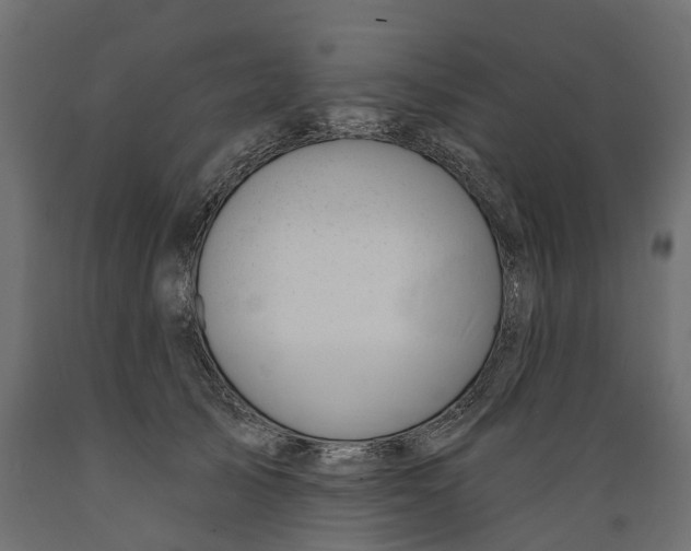 X0000088900705200707061455