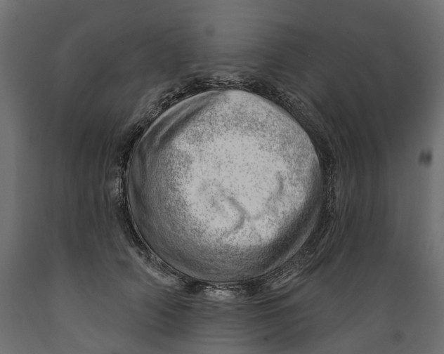 X0000088900706200707061455