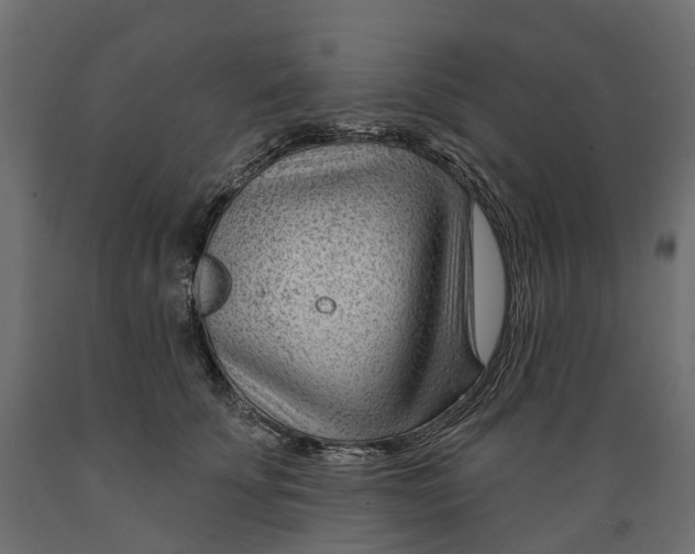 X0000088900707200707061455