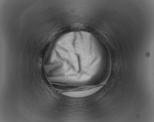 X0000088900708200707061455