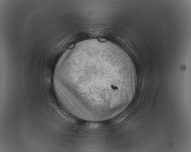 X0000088900710200707061455