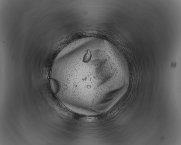 X0000088900711200707061455