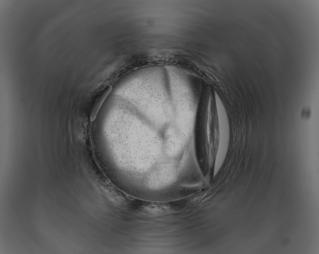 X0000088900712200707061455