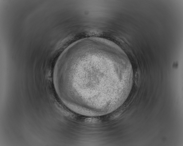 X0000088900714200707061455