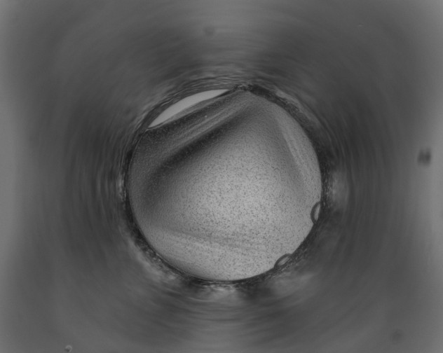 X0000088900715200707061455