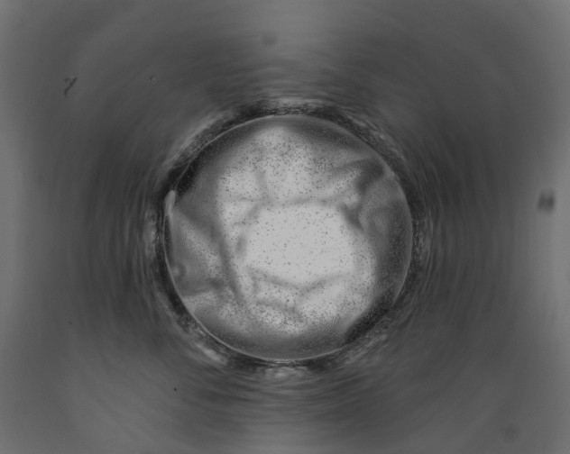 X0000088900716200707061454