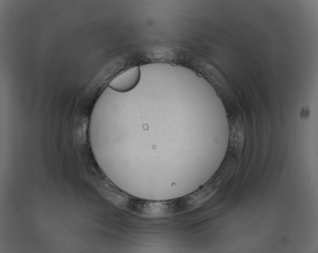 X0000088900717200707061454