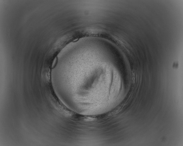 X0000088900718200707061454