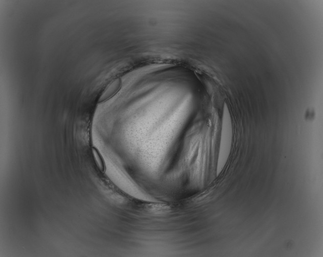 X0000088900719200707061454