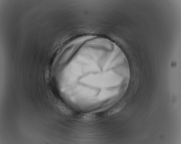 X0000088900720200707061454