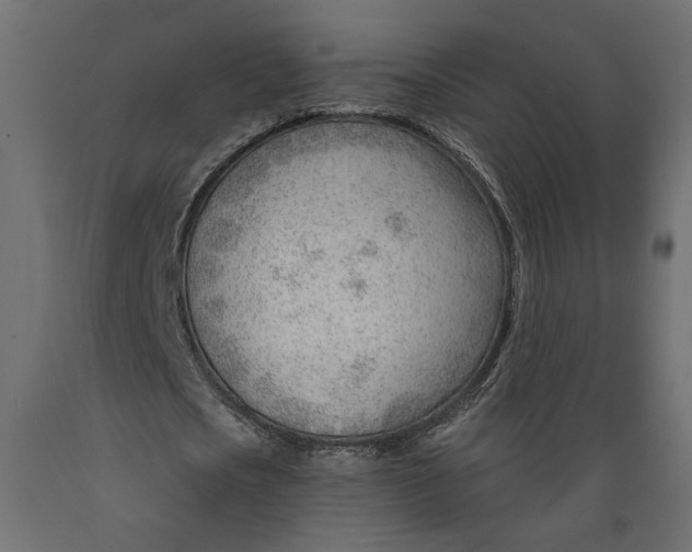 X0000088900721200707061454