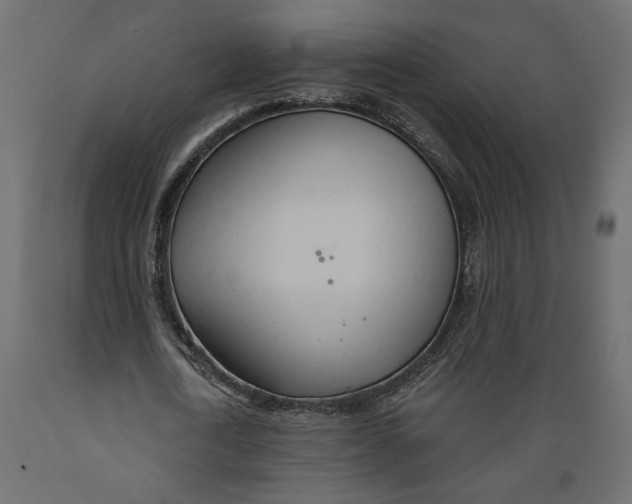 X0000088900722200707061454