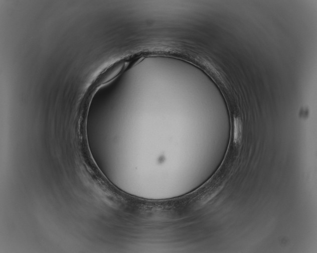 X0000088900723200707061454