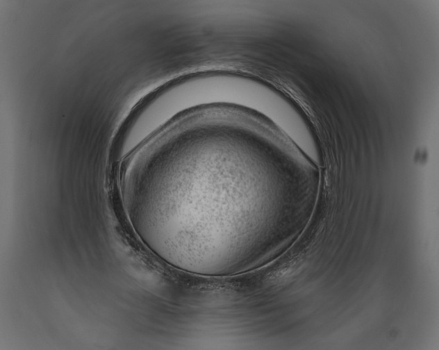 X0000088900724200707061454