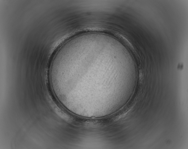 X0000088900725200707061454