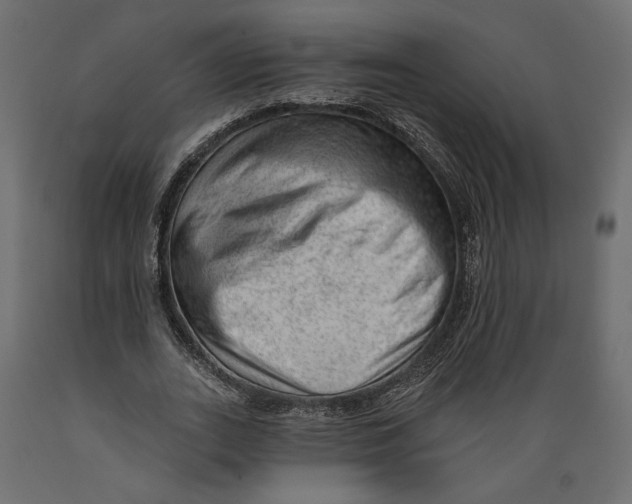 X0000088900727200707061454