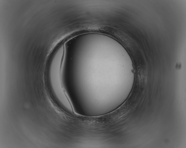 X0000088900728200707061454