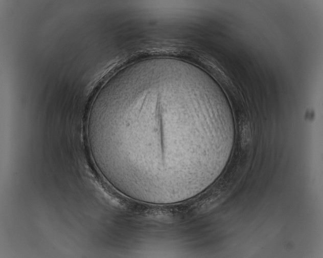 X0000088900729200707061454