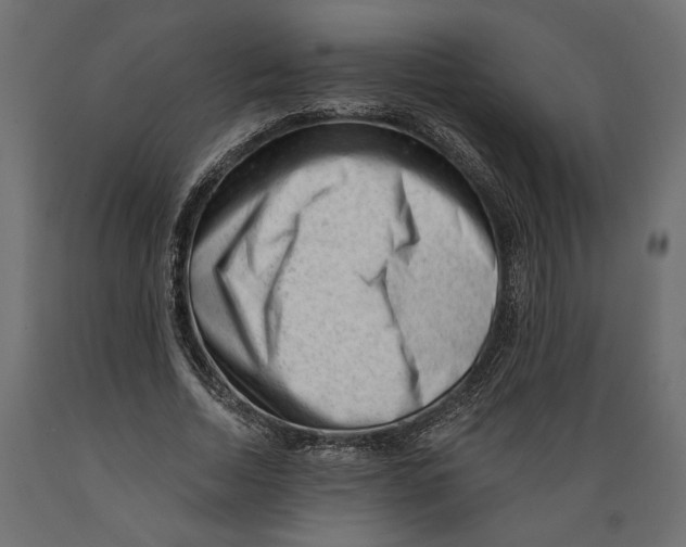 X0000088900730200707061454