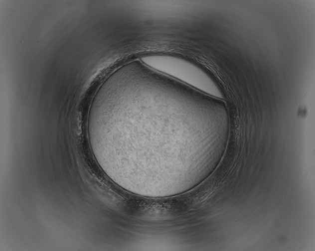 X0000088900731200707061454