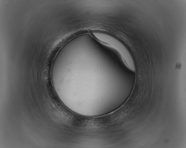 X0000088900732200707061454