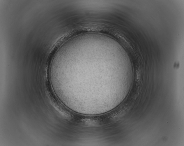 X0000088900733200707061454