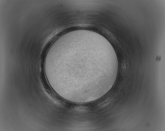 X0000088900734200707061454