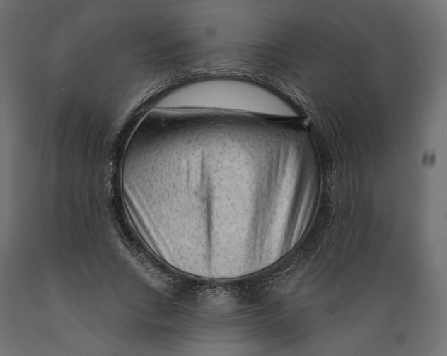 X0000088900735200707061454