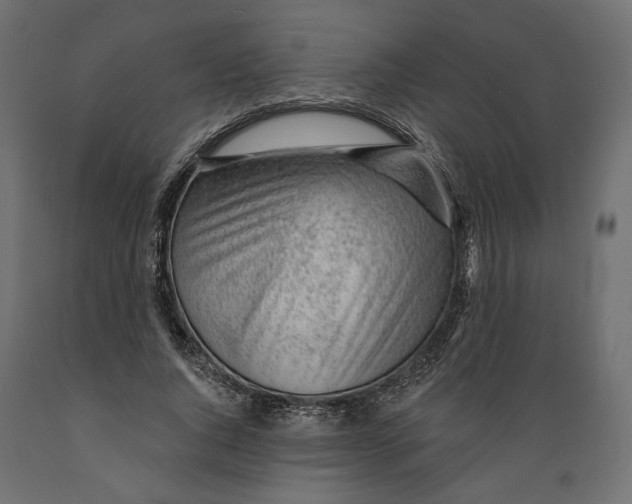 X0000088900736200707061454