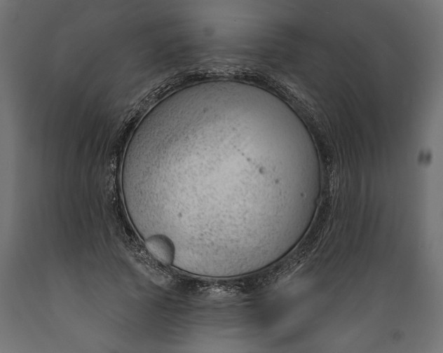 X0000088900737200707061454