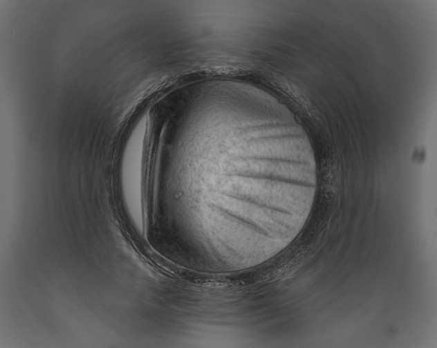 X0000088900738200707061454