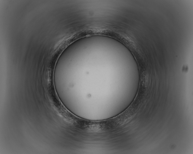 X0000088900740200707061454