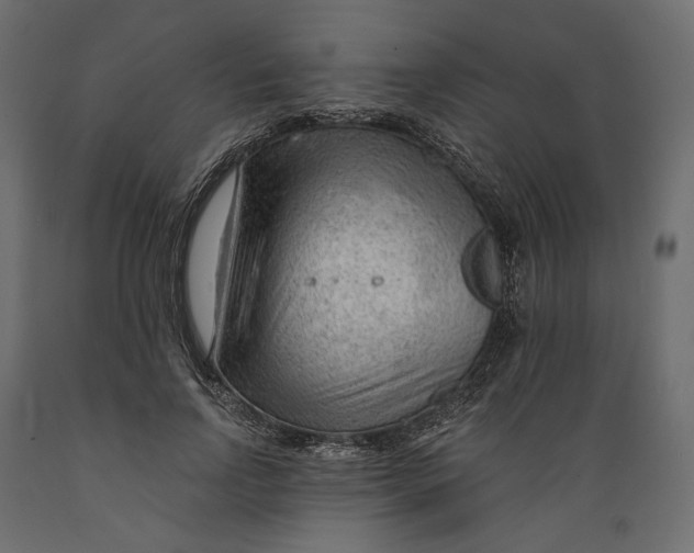 X0000088900742200707061454