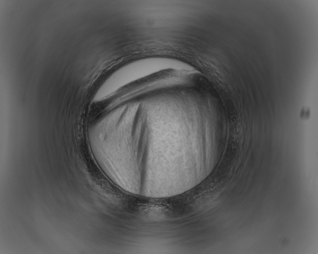 X0000088900743200707061454