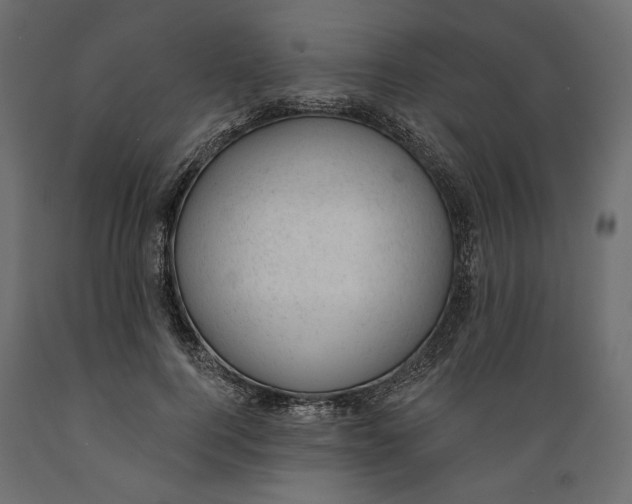 X0000088900744200707061454