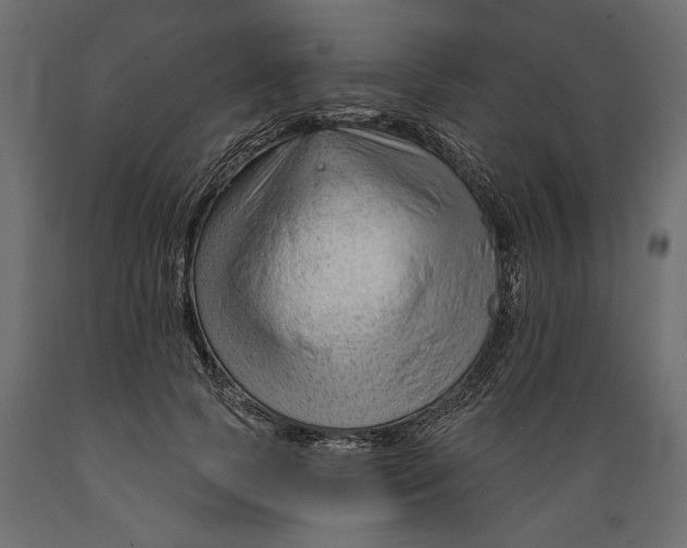 X0000088900745200707061454