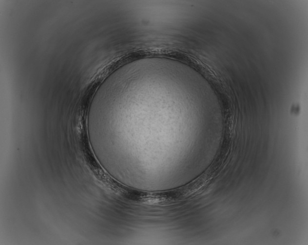 X0000088900746200707061454