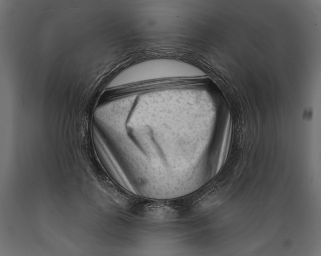 X0000088900747200707061454