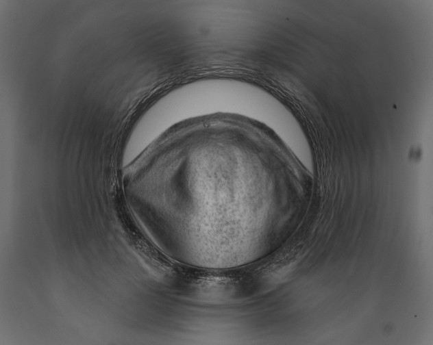 X0000088900748200707061454