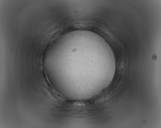 X0000088900749200707061454