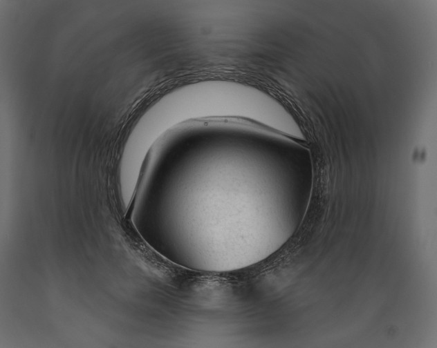 X0000088900750200707061454