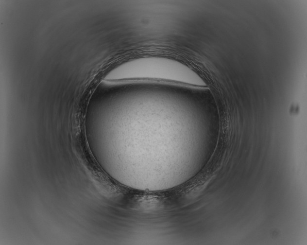 X0000088900751200707061454