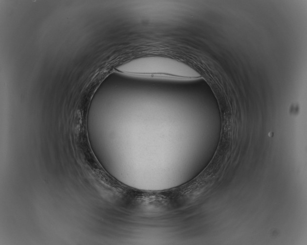 X0000088900752200707061454