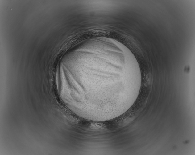 X0000088900753200707061454