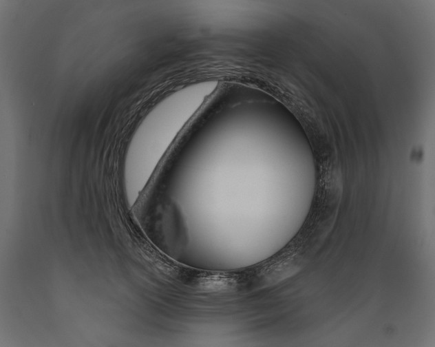 X0000088900754200707061454