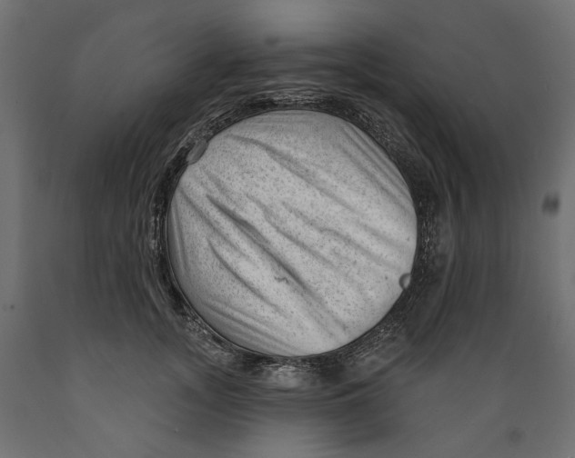 X0000088900755200707061454